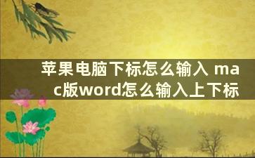 苹果电脑下标怎么输入 mac版word怎么输入上下标